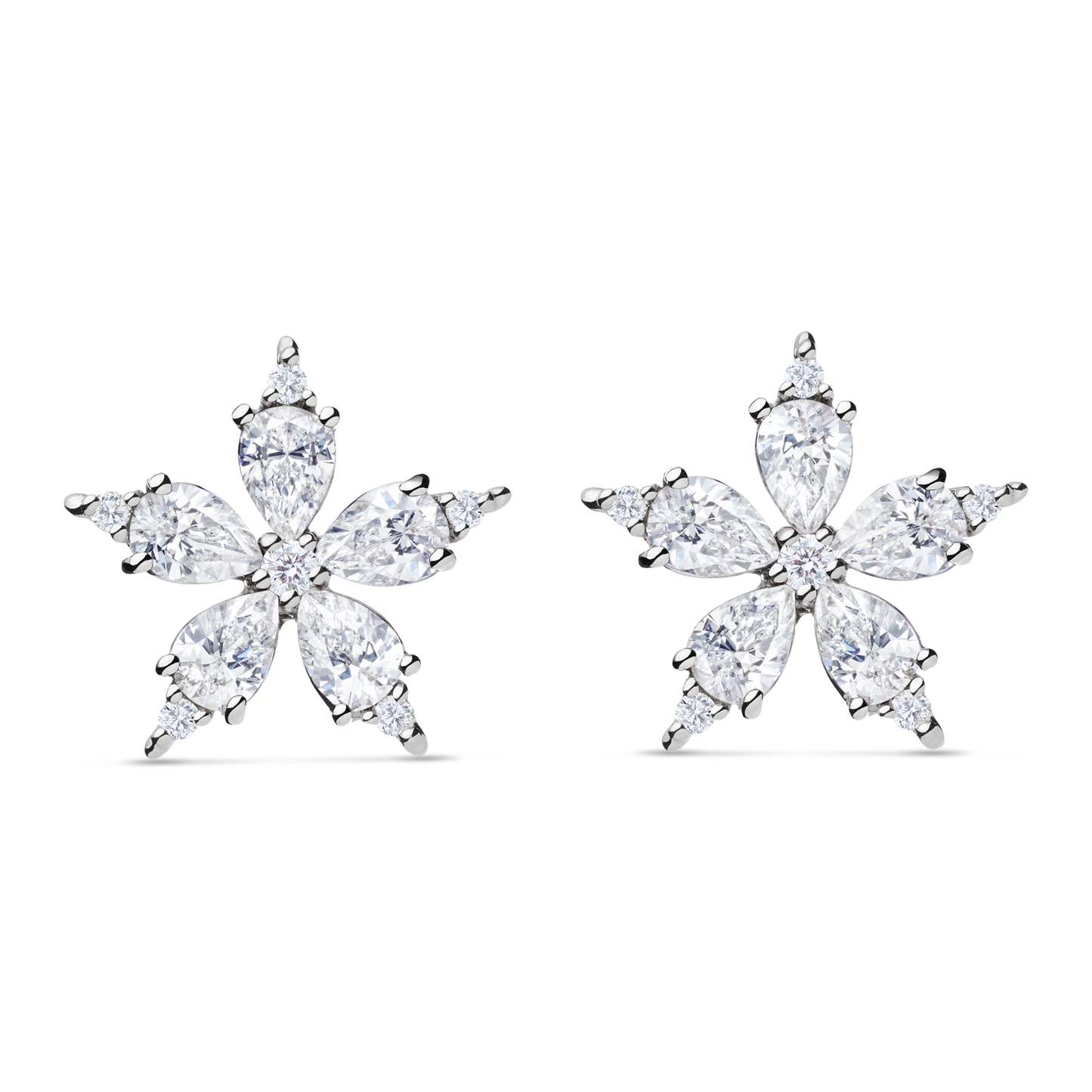 Stellanise Stud Earrings